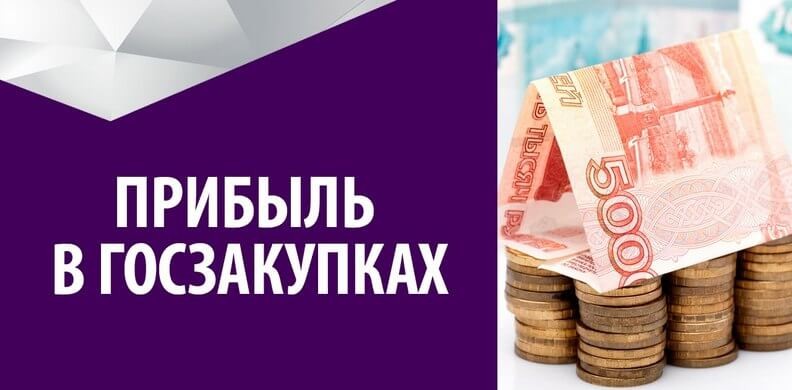 Как заработать на госзакупках