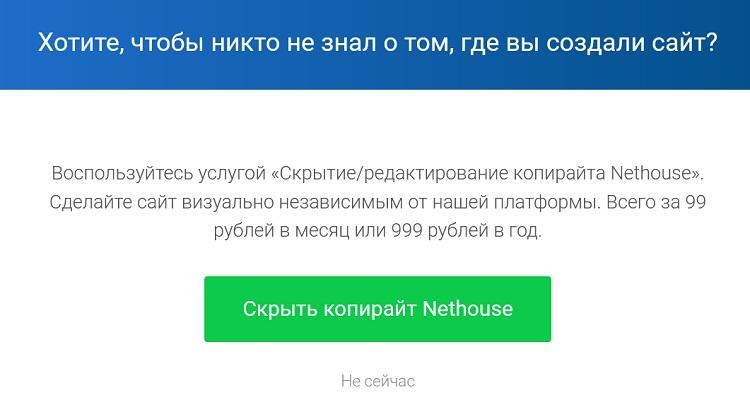 Дополнительные платные услуги в Nethouse