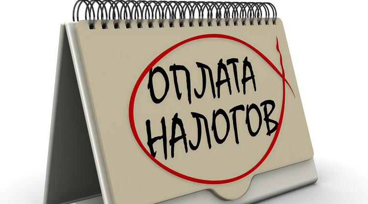 Оплата налогов