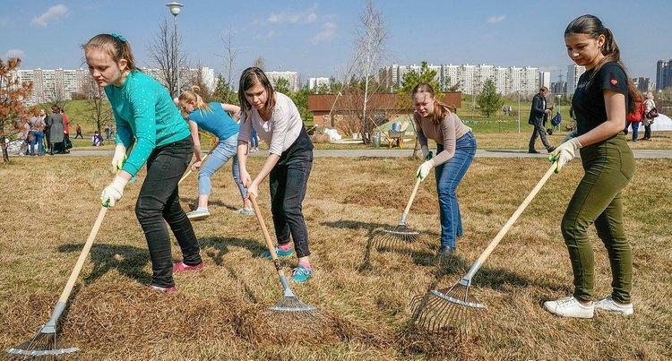 благоустройство парка